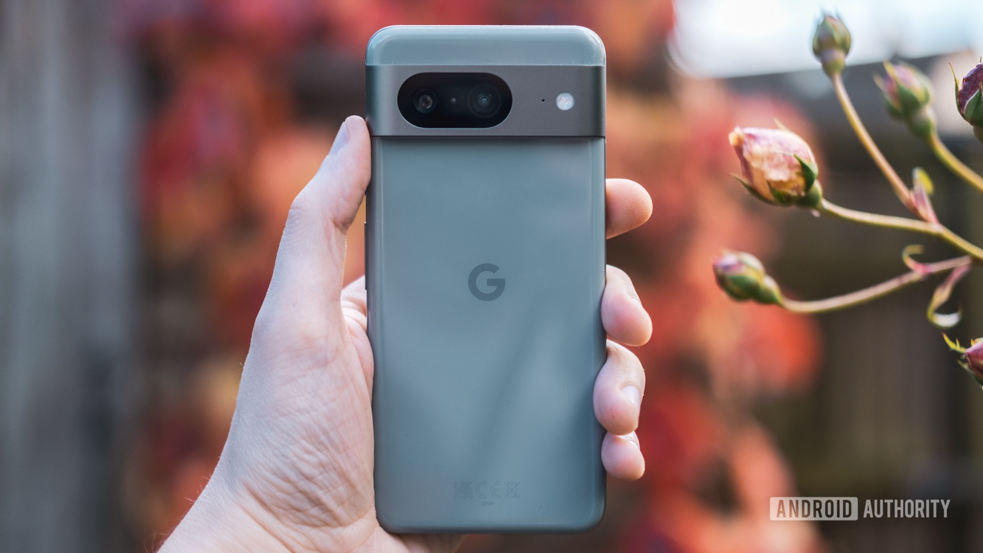 Google Pixel 8 de retour en main