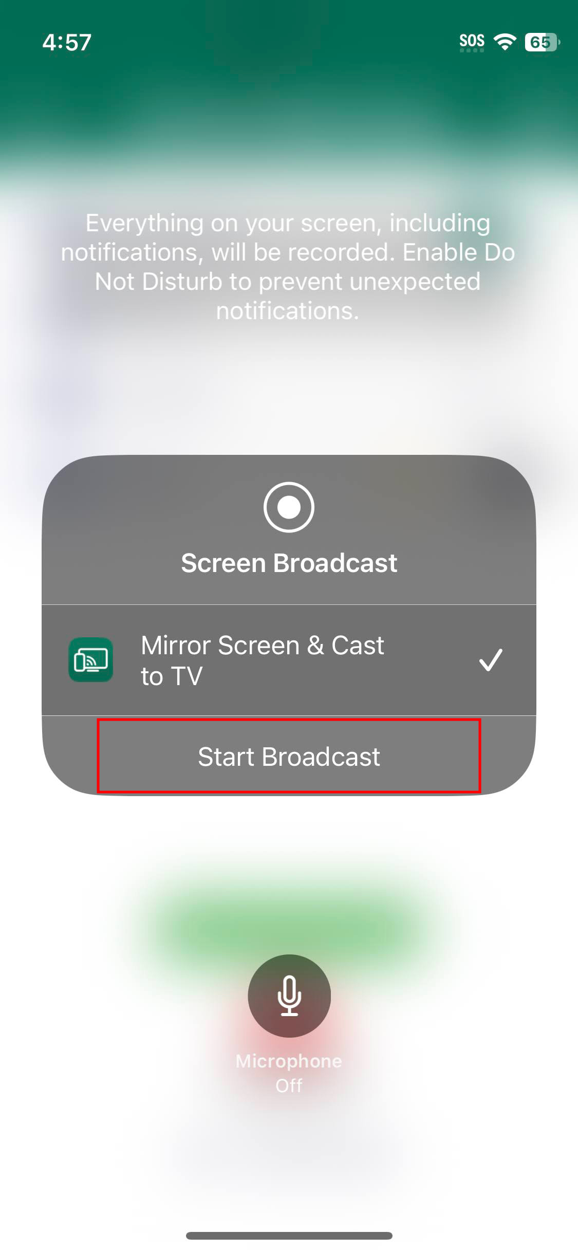 How to use Screen Mirror Smart View Cast on iPhone (3)
