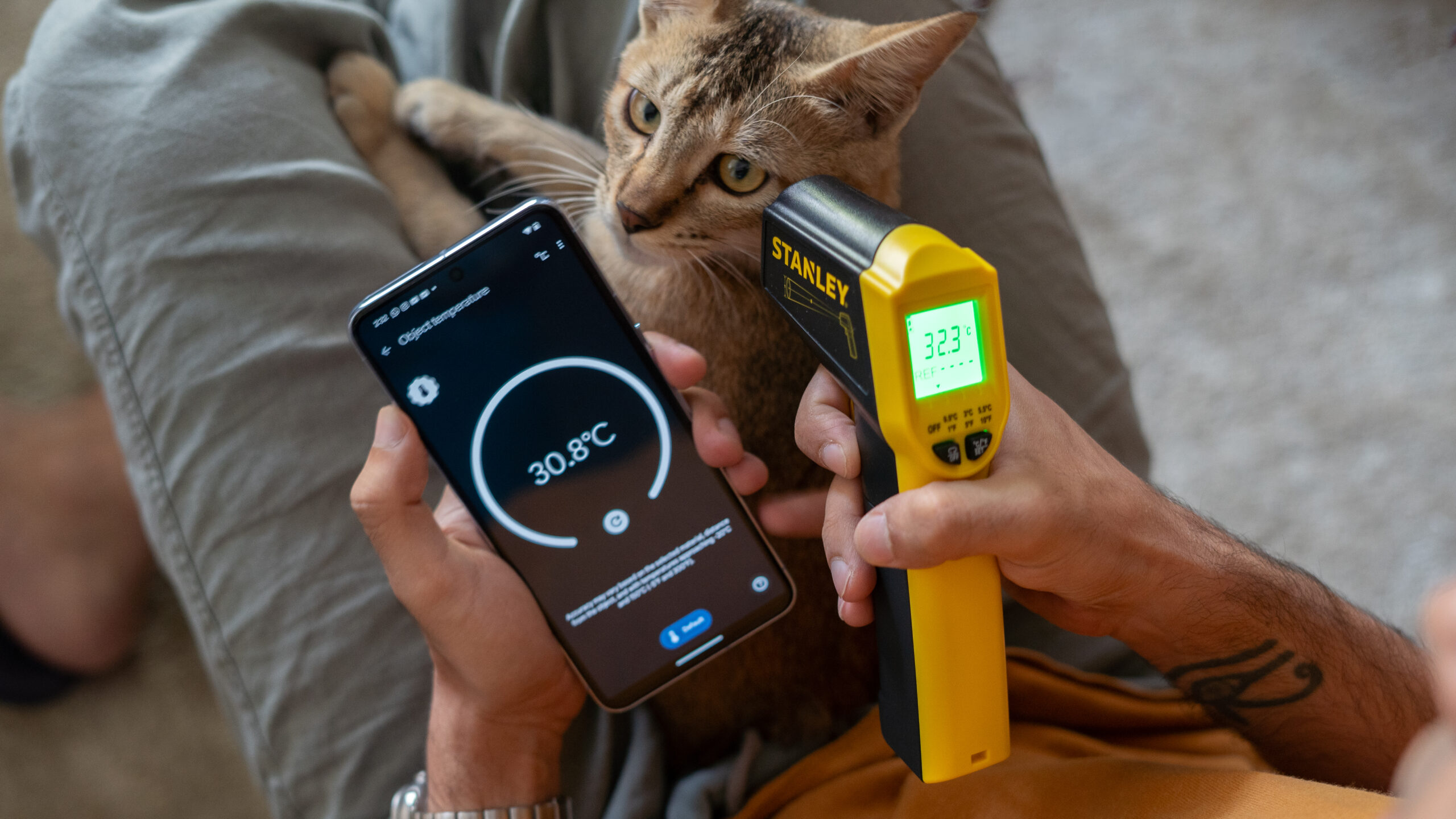 Pixel 8 Pro vs Stanley IR Thermometer measuring a cat's temperature