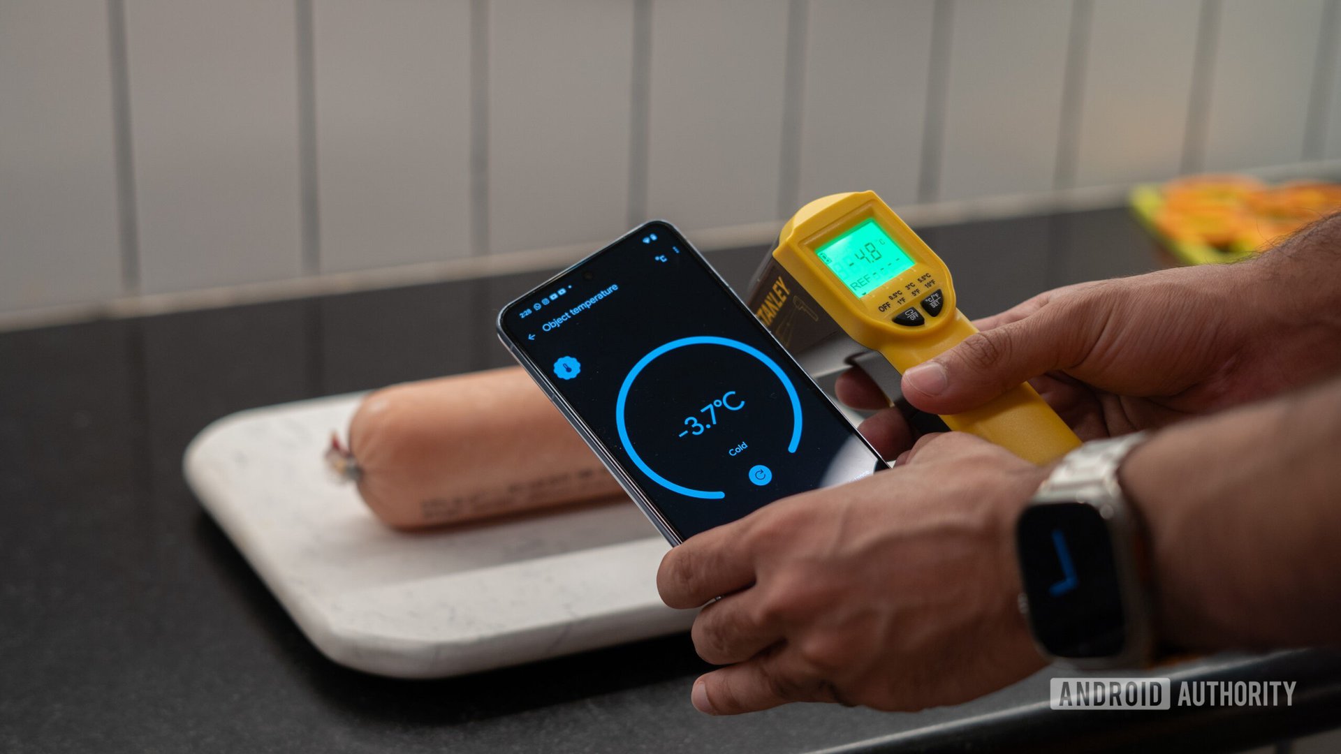 Pixel 8 Pro vs Stanley IR Thermometer measuring meat temperature