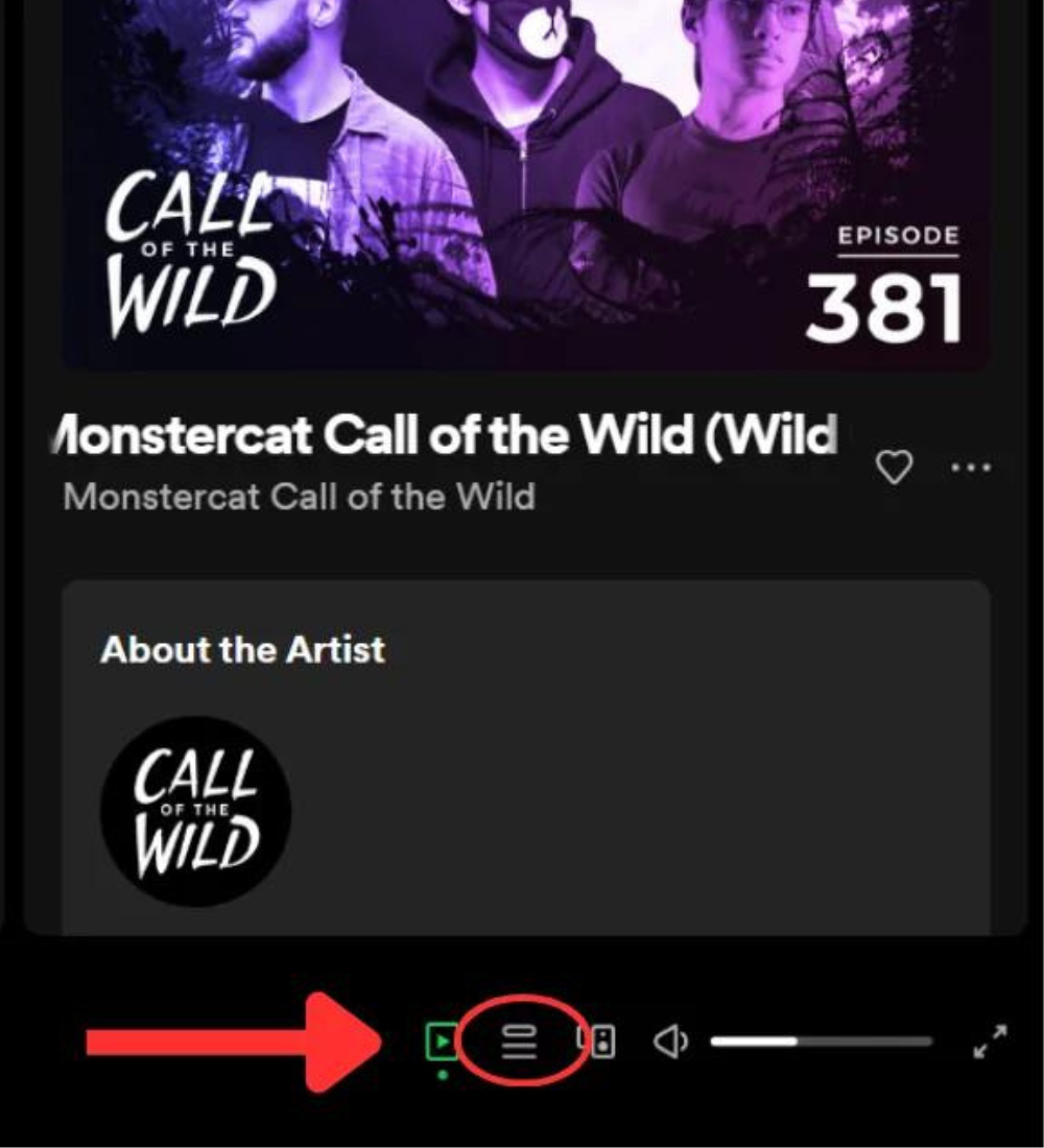 Spotify Tap the queue button