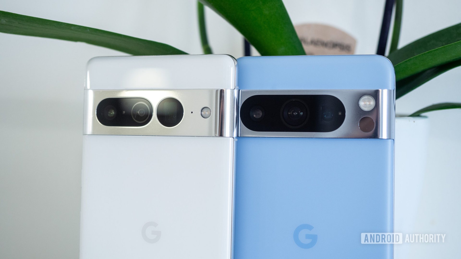 google pixel 8 pro bay blue vs pixel 7 pro white camera 1
