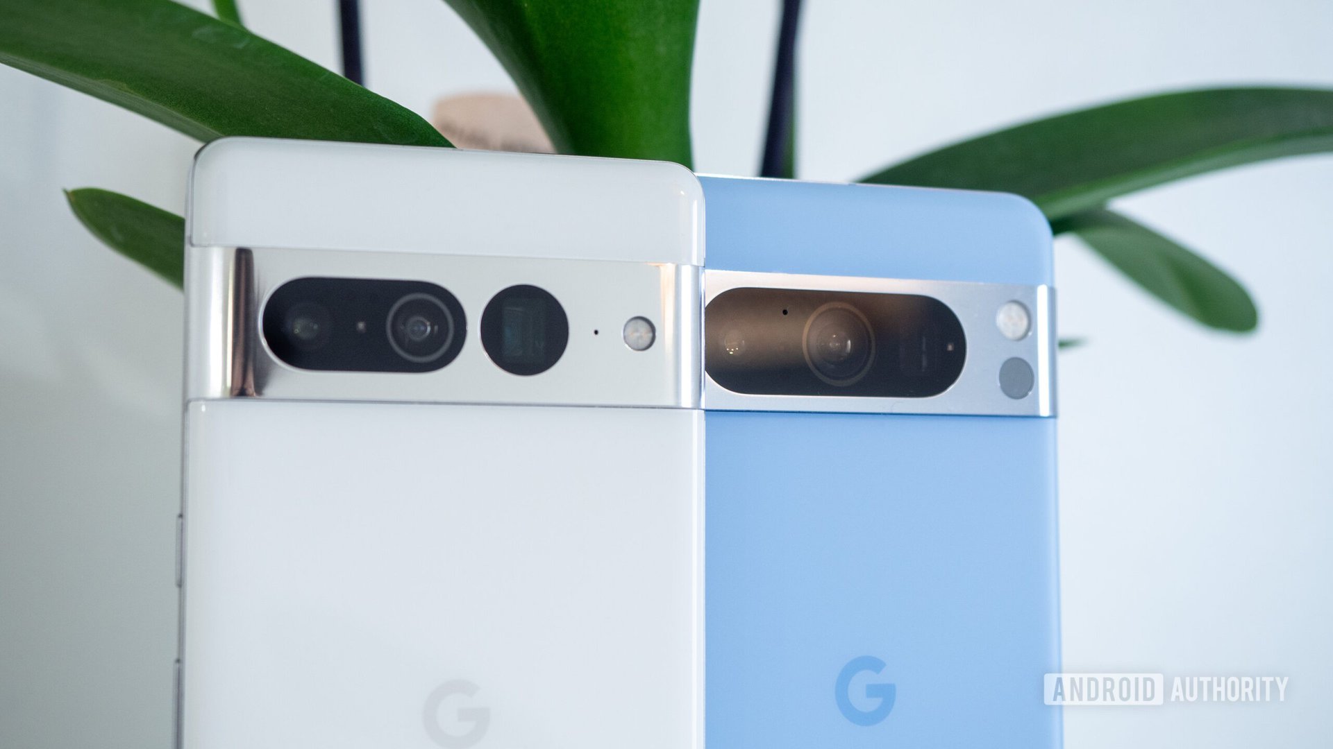 google pixel 8 pro bay blue vs pixel 7 pro white camera 2