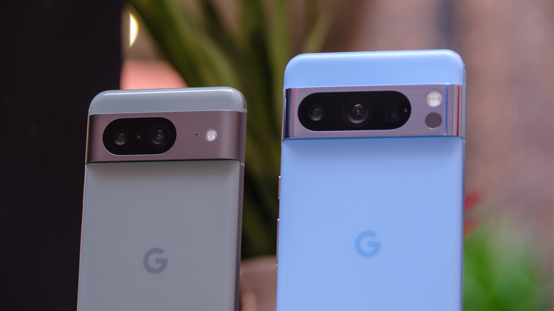 google pixel 8 pro vs pixel 8 cameras side by side