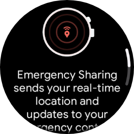 google pixel watch 2 screenshot emergency sharing