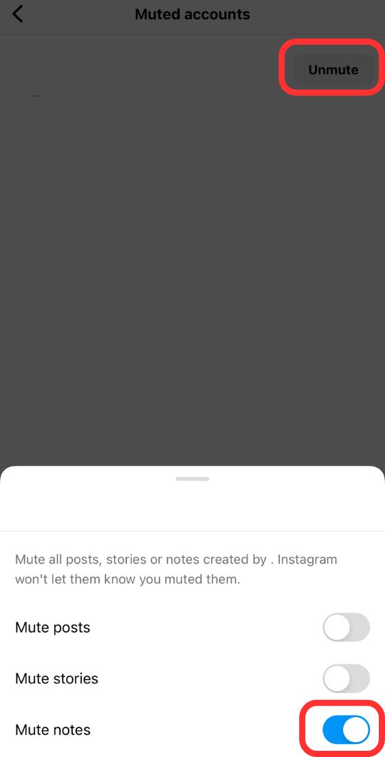 instagram unmute notes