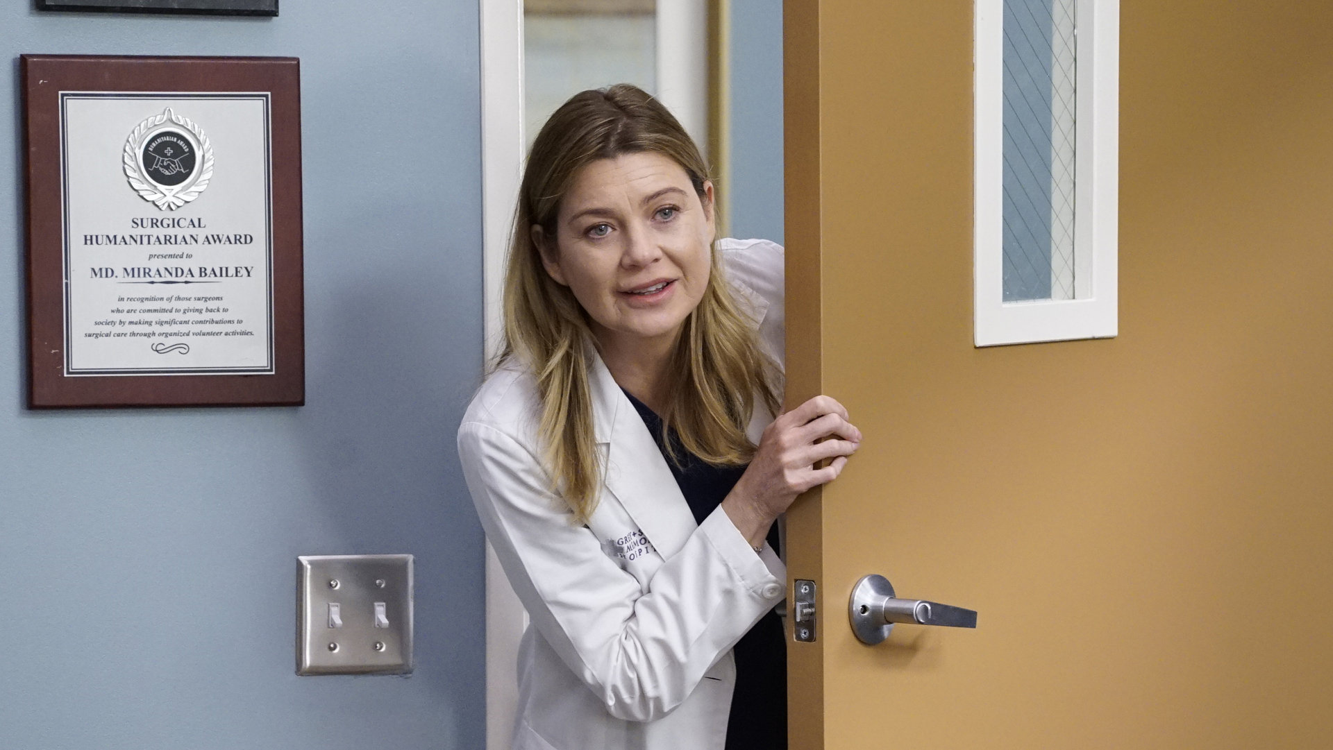 meredith in grey's anatomy