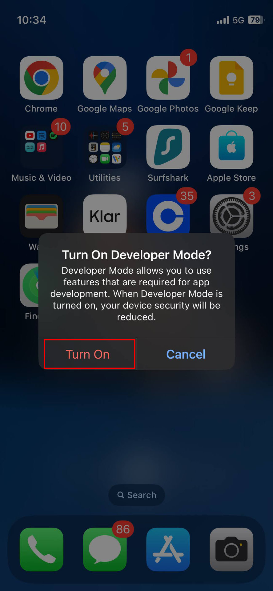 Enable Developer Mode on an iPhone using the settings (5)