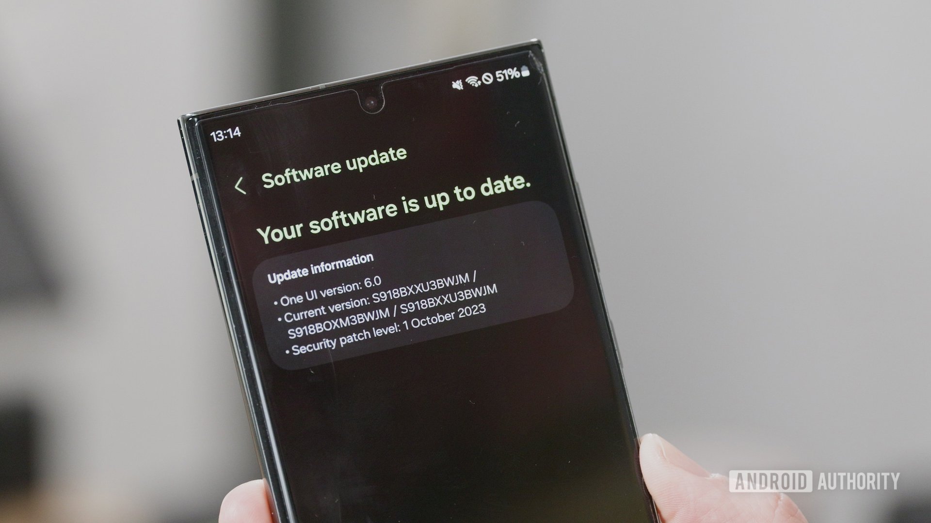 One UI 6 software update screen