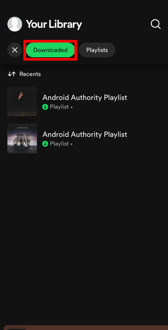 Spotify Downloaded in Your Library