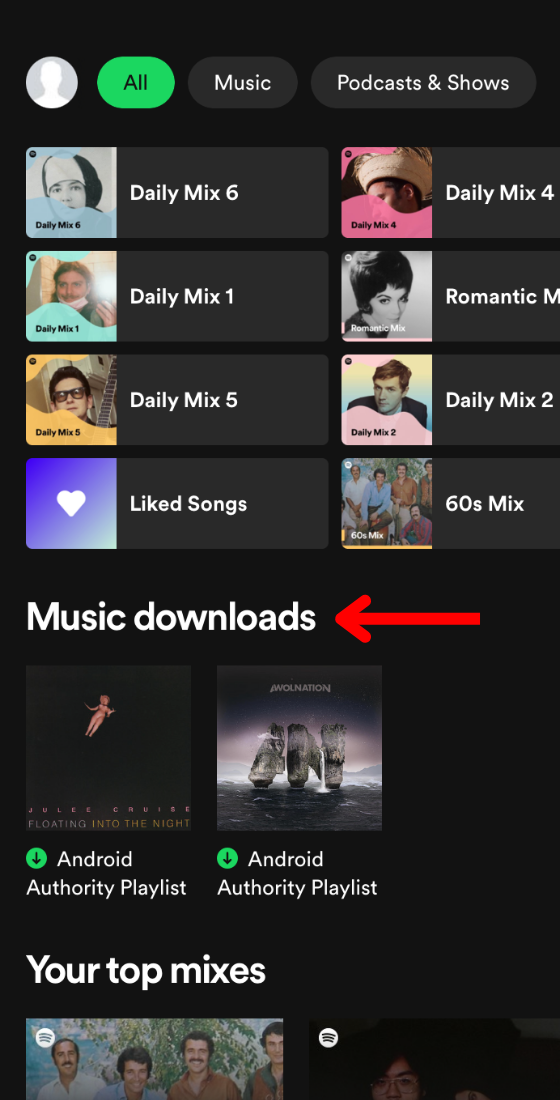 Spotify Music Downloads