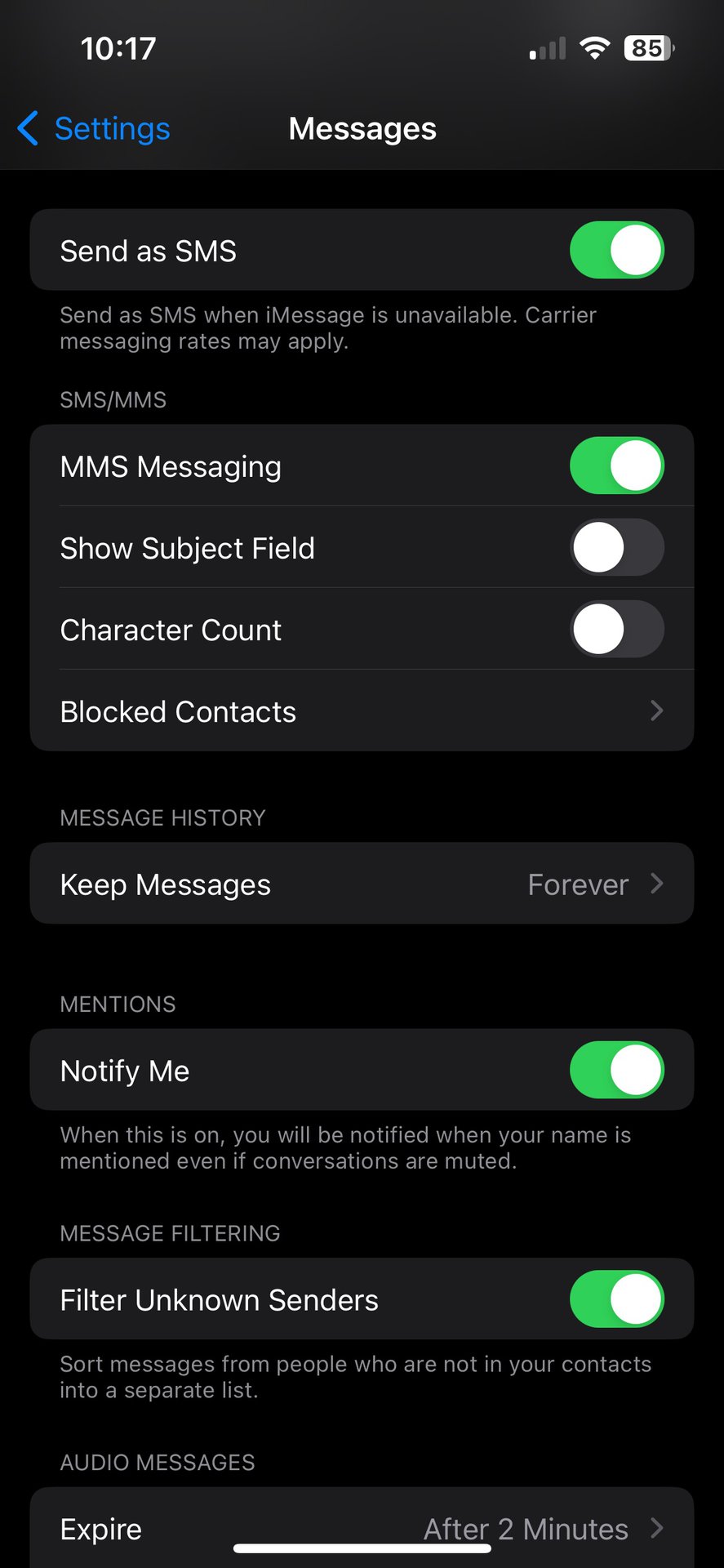 iOS 17 Messages Settings