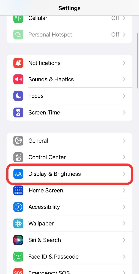 settings iPhone display
