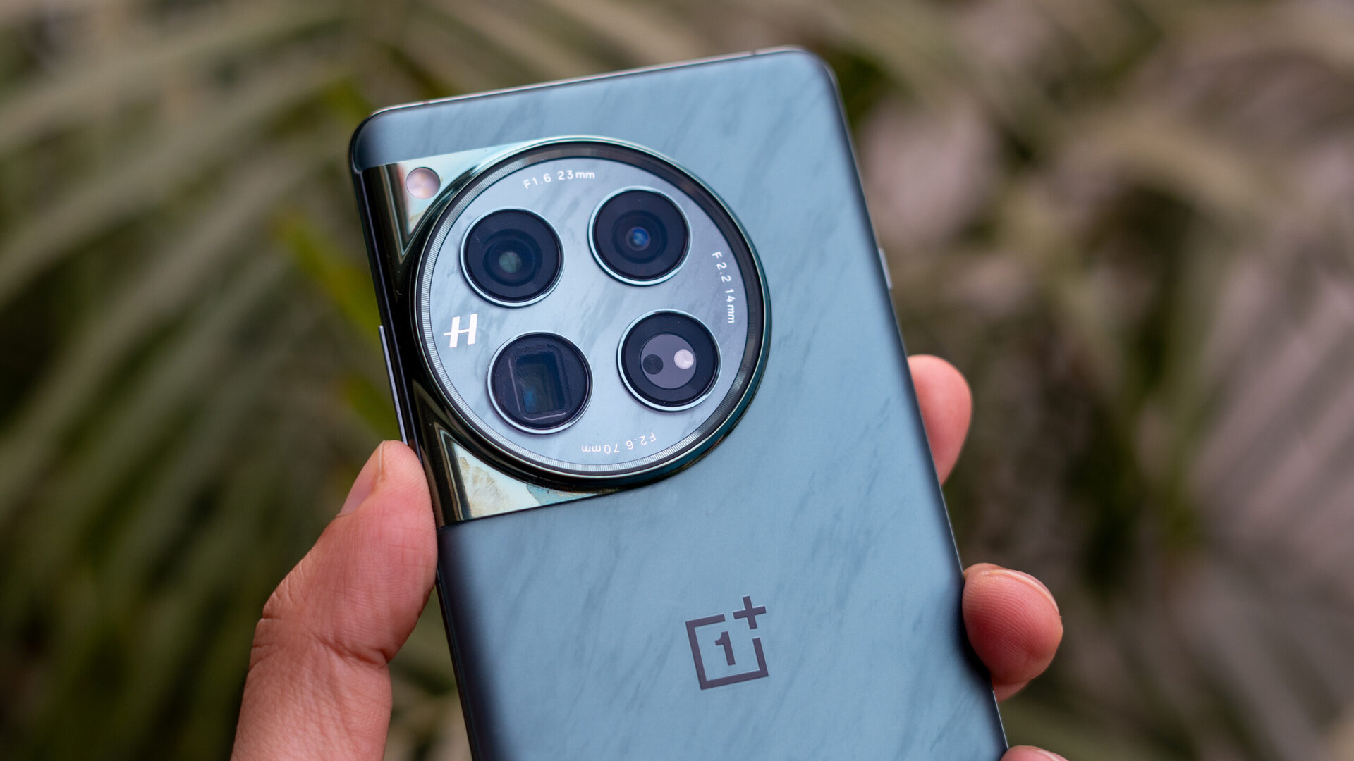 OnePlus 12 gets its first update adding Hasselblad Master mode (Update: Download link)