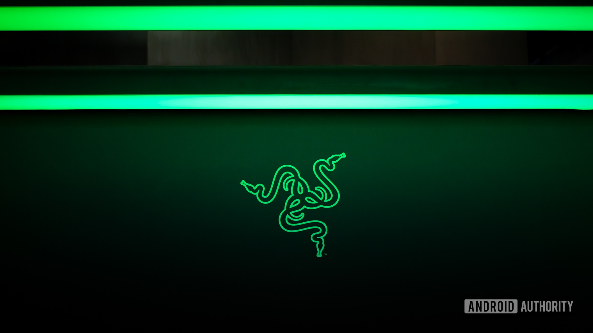 Razer logo stock photo from CES 2024 (1)