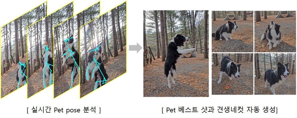 Samsung Single Take pet poses