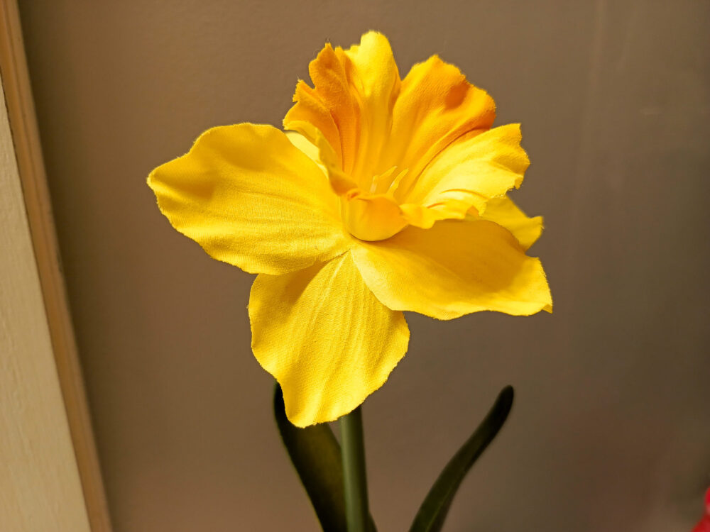 next-level-vibes-checking-out-the-tecno-spark-20-pro-experience