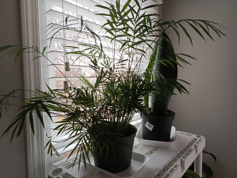 next-level-vibes-checking-out-the-tecno-spark-20-pro-experience