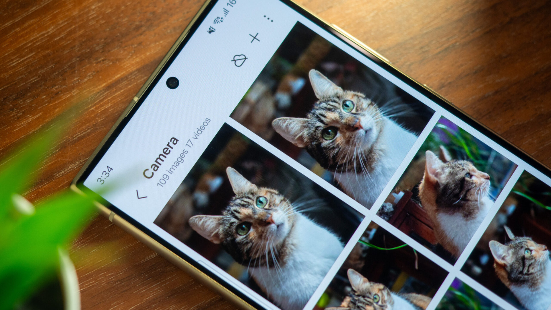 Does the Galaxy S24 Ultra take good photos of moving pets? 😼