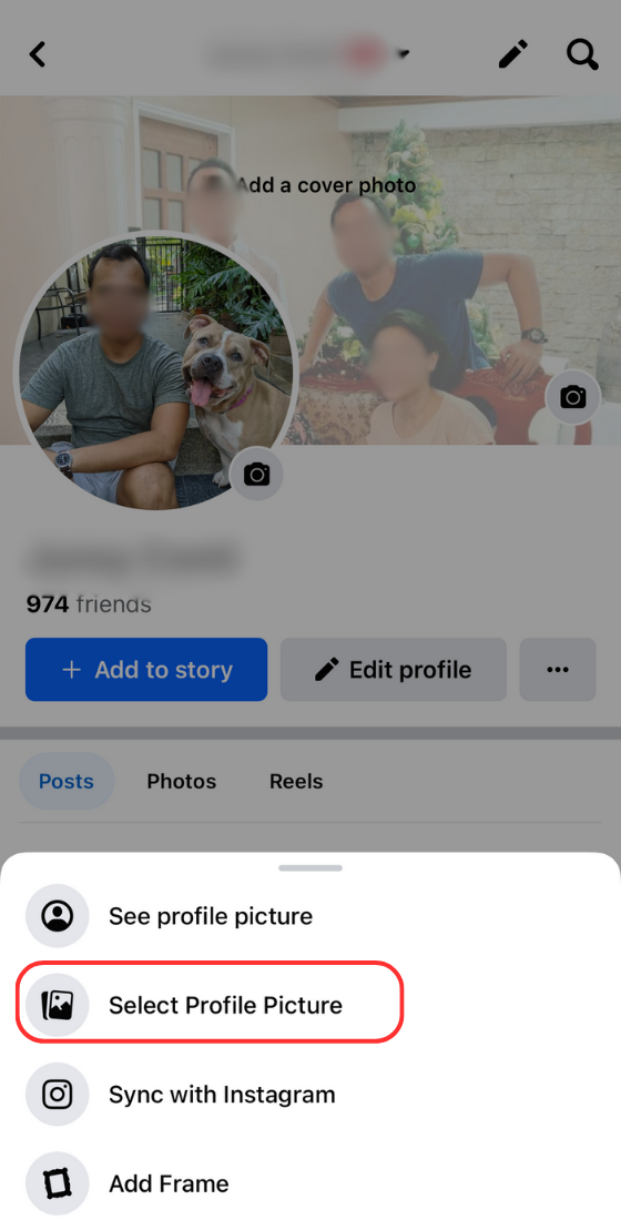 Tap Select Profile Picture