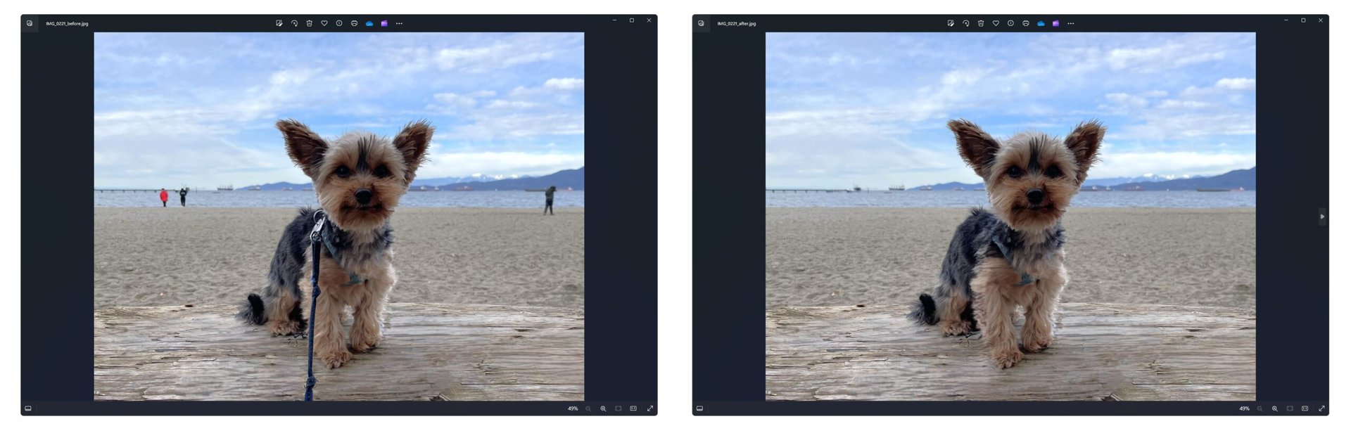 Windows Photos app Generative erase