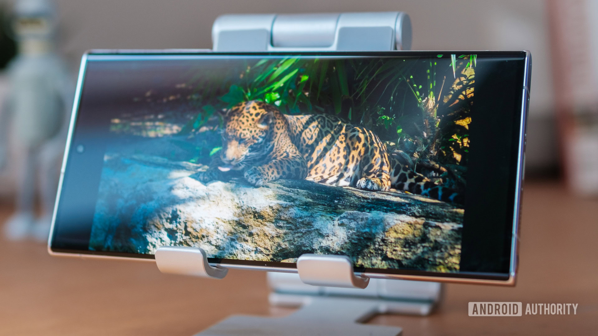 Samsung Galaxy HDR display