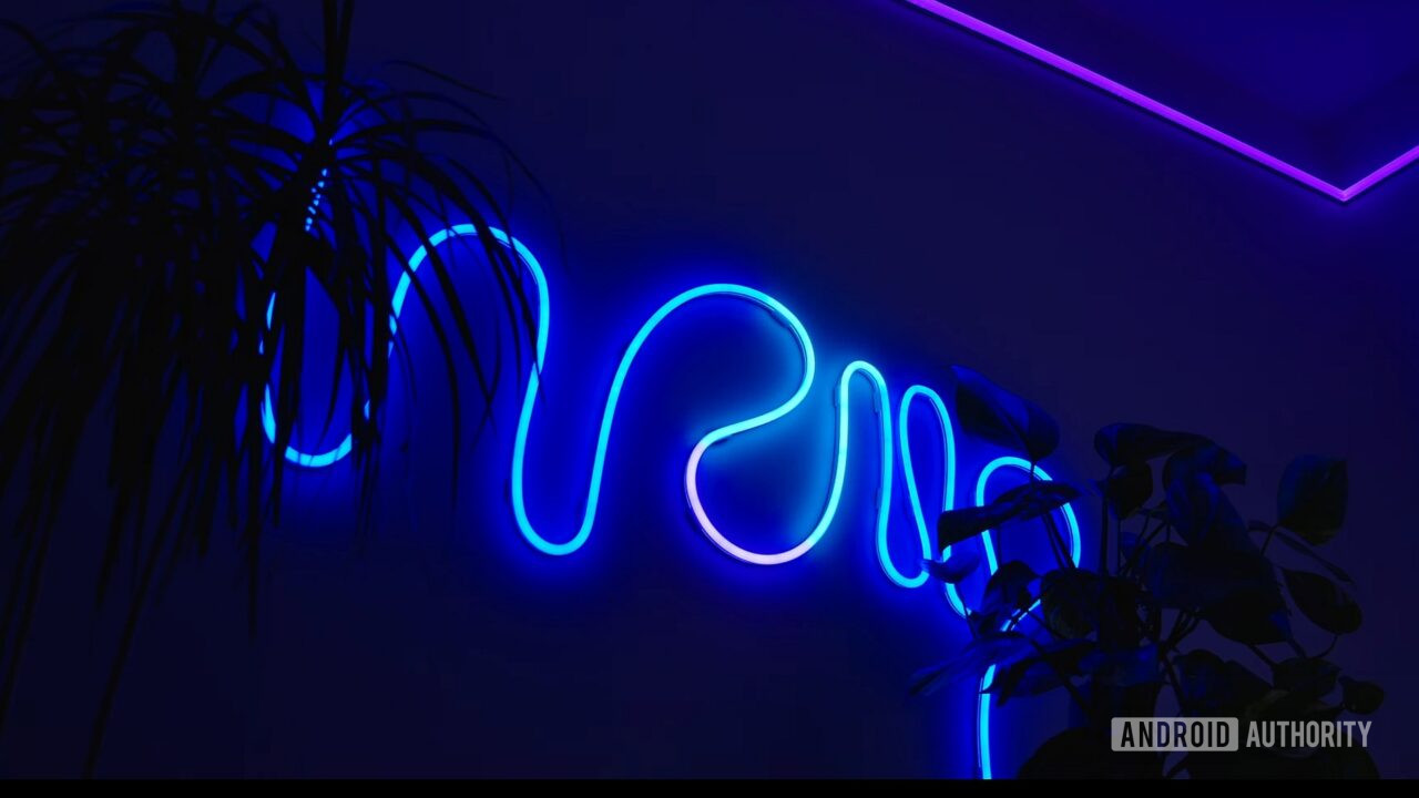 Govee Neon Rope Light 2 Clips - 20 Stück Montagehalterungen Für LED Strip