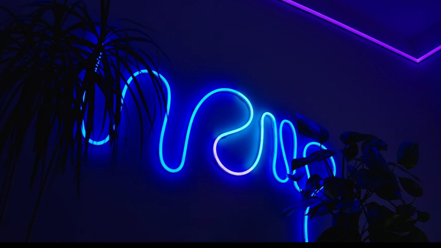 Smart Rope Light Design Govee Neon Rope Light 2 review: The best smart rope lights?