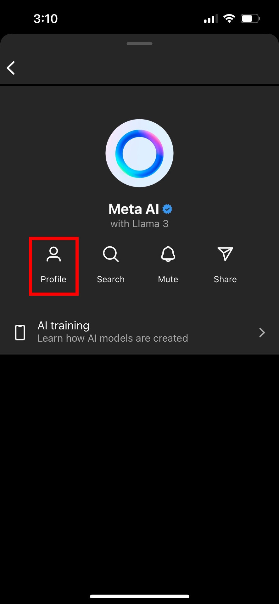 Instagram Meta AI chat options page