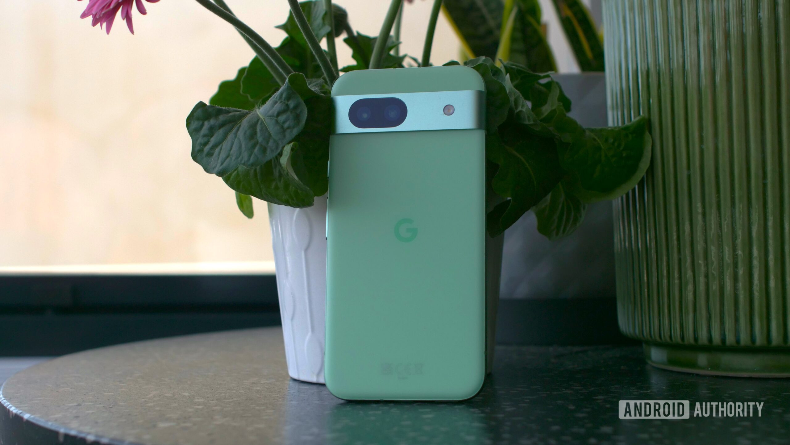 Google Pixel 8a pre-order aloe with plant