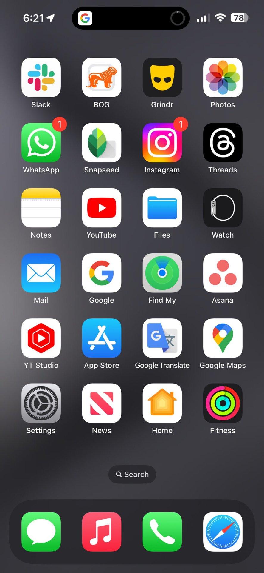 iPhone Home Screen with Dynamic Island showing the Google shortcut has been triggered.