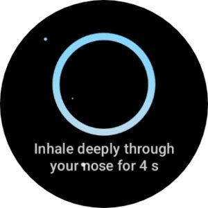 OnePlus Watch 2 update adds new Relax and Barometer apps