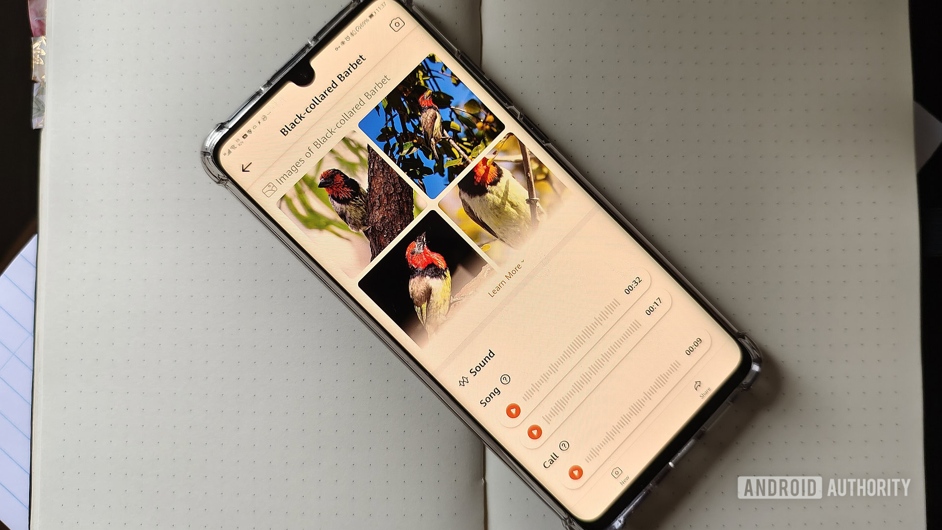 Picture Bird Android app hero