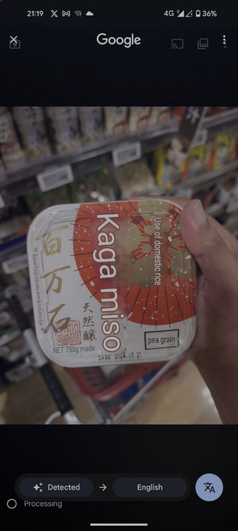 GOOGLE TRANSLATE OR CHATGPT visual data 5