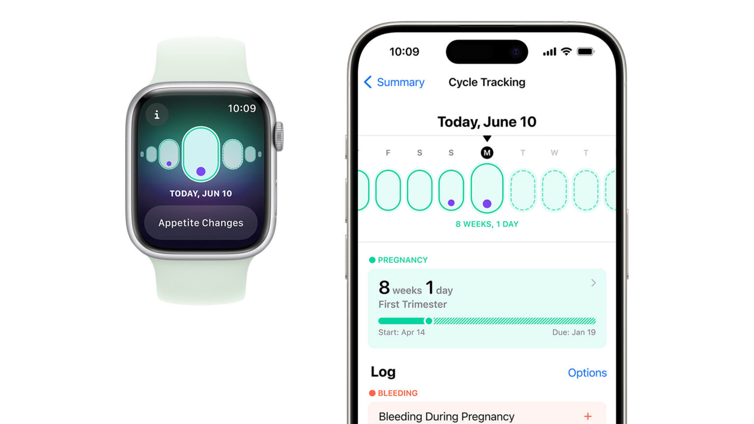 Better late than never Apple remembers that women could get pregnant