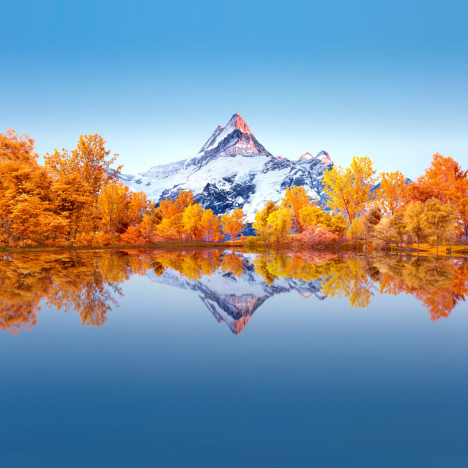 The best phone wallpapers I&rsquo;ve seen - Android Authority