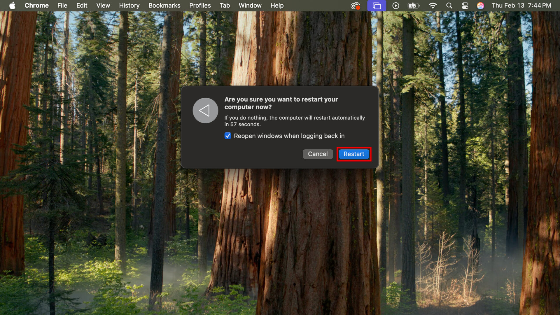 MUSIC NOT WORKING visual data 2