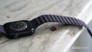FineWoven Magnetic Link Band review: Worth the splurge