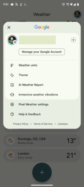 Pixel Weather can now warn you about bad pollen days