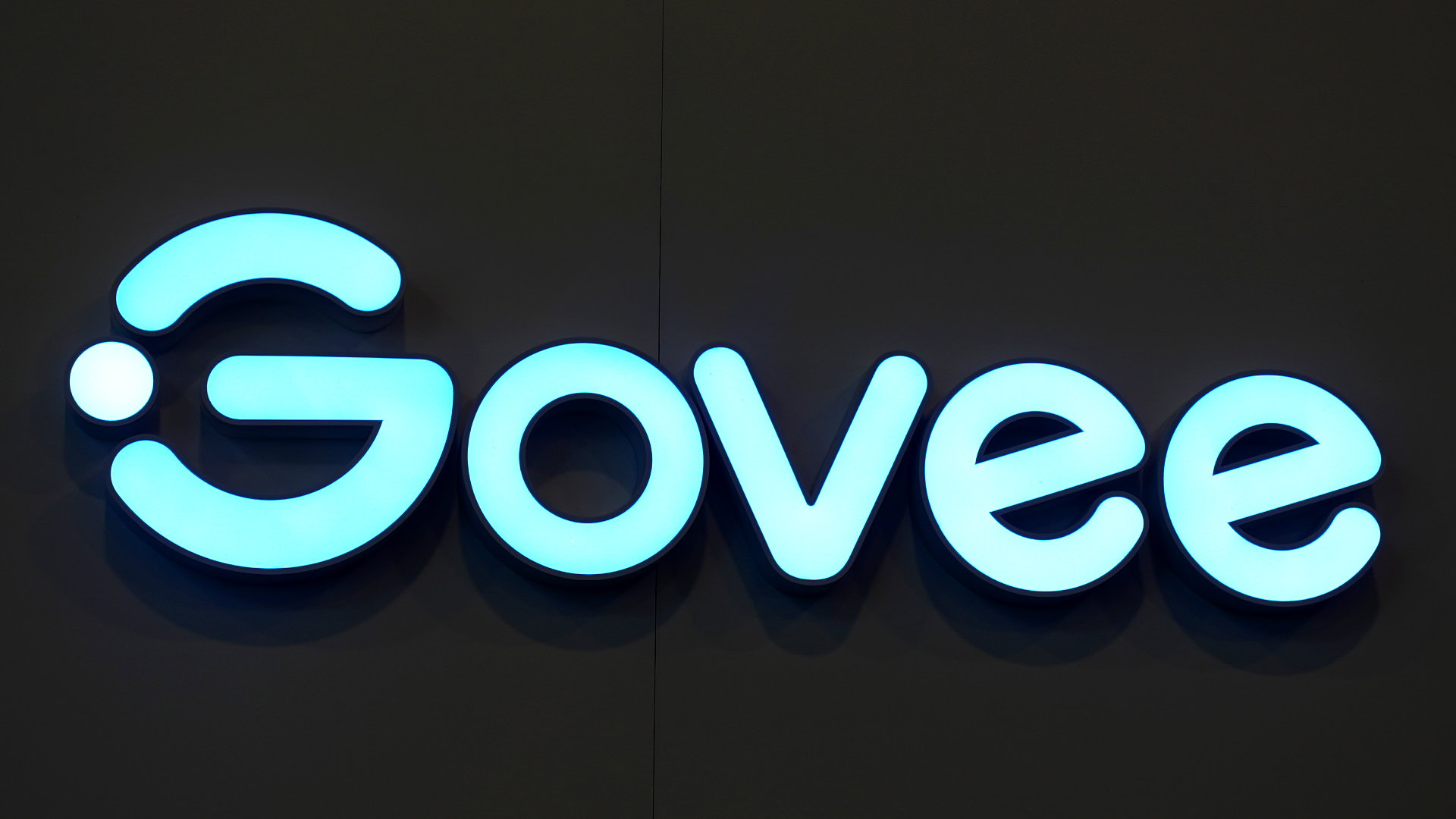 Govee logo 2 CES 2025 Govee logo 2 CES 2025