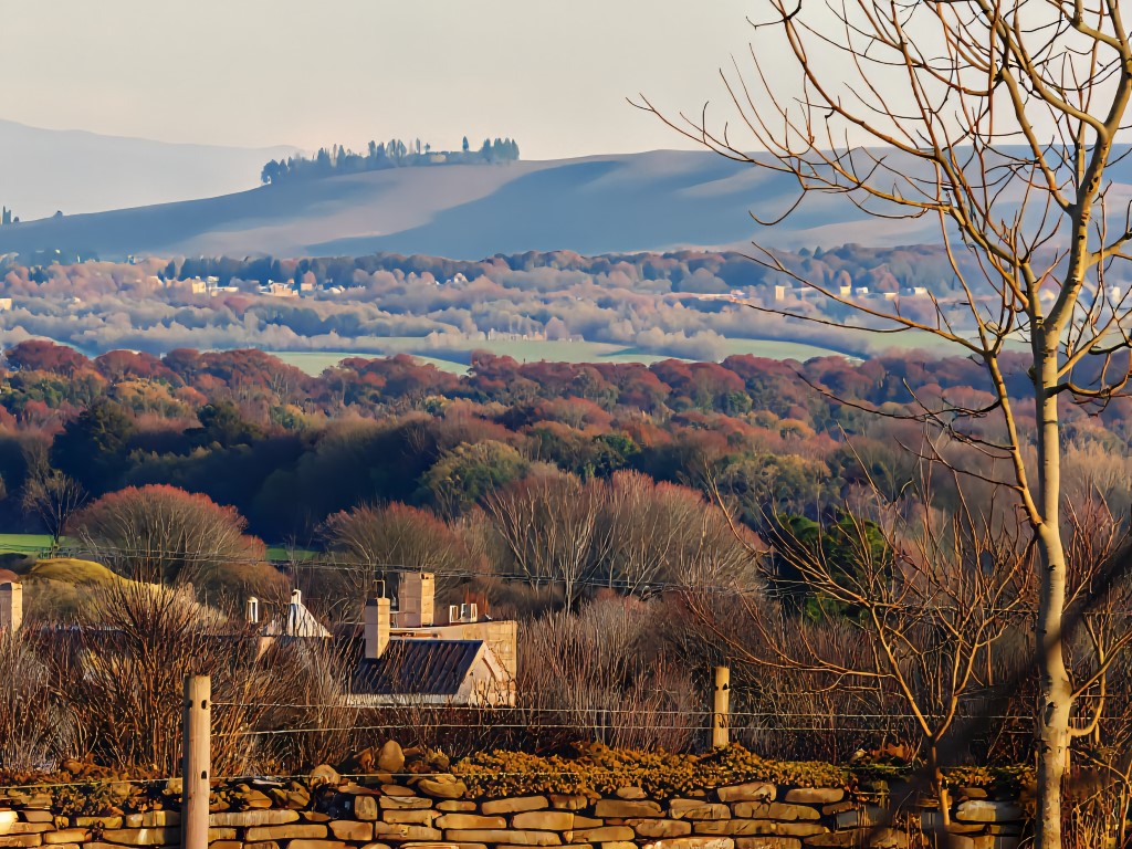 HONOR Magic 7 Pro camera sample 30x zoom AI