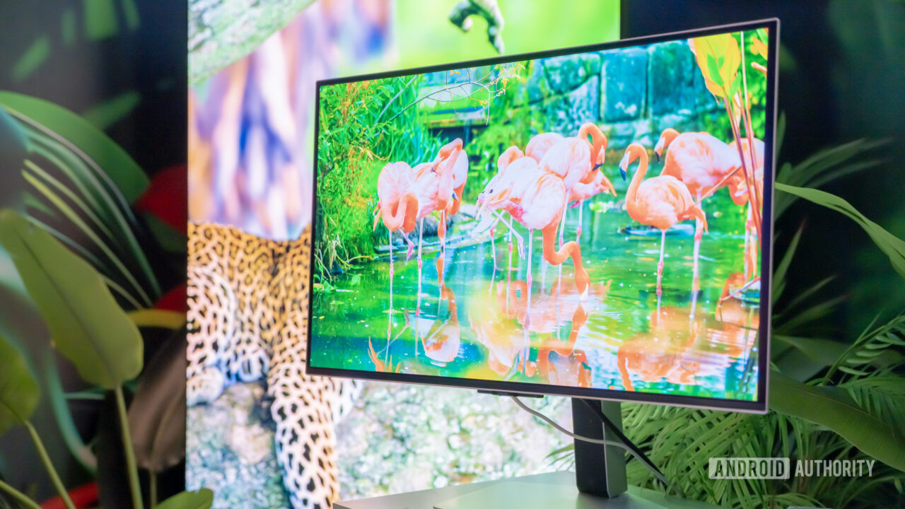 Every display type compared: LCD, OLED, QLED, more - Android Authority