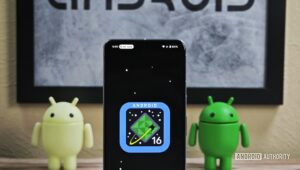 ANDROID 16 EASTER EGG visual data 4