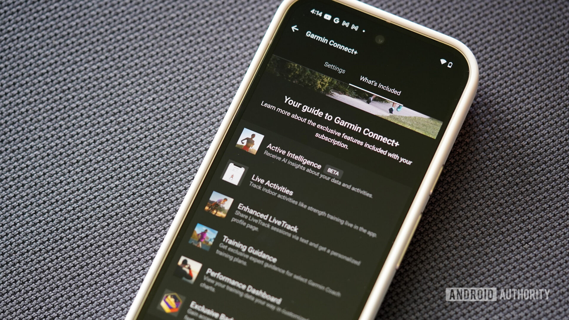Garmin Connect Plus is not really worth the price just yet, if you ask me