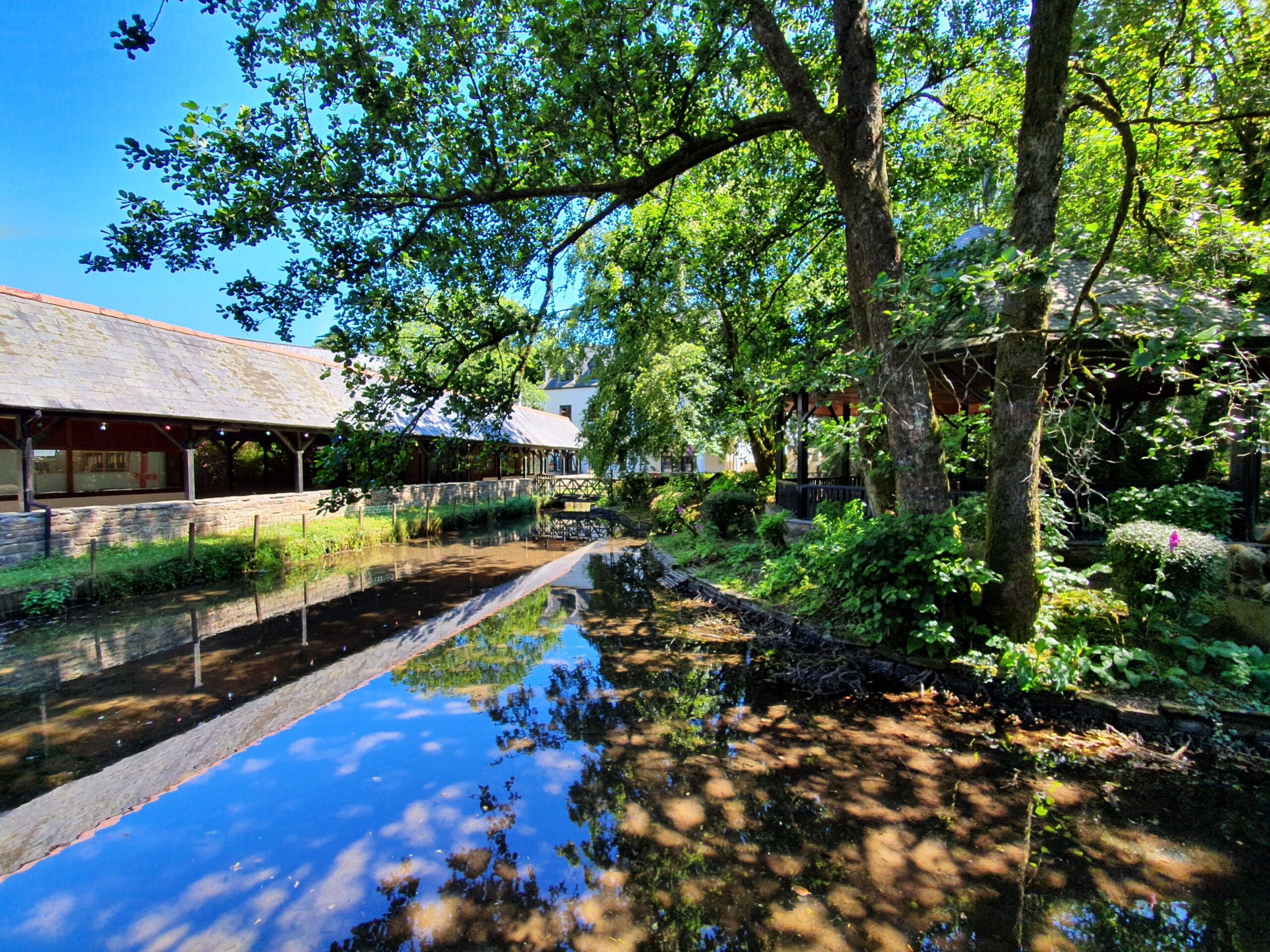 A photo of a tree surrounded by water on a sunny day