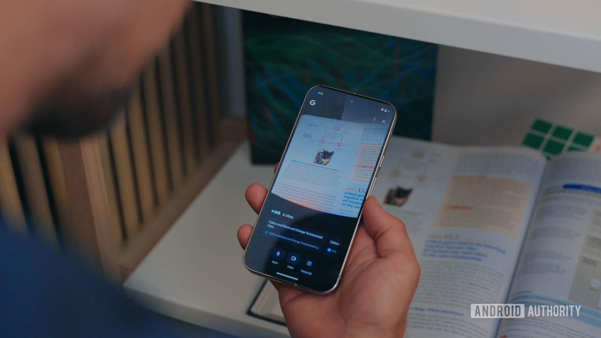 Search Live gets ready to follow Gemini with a colorful visual update