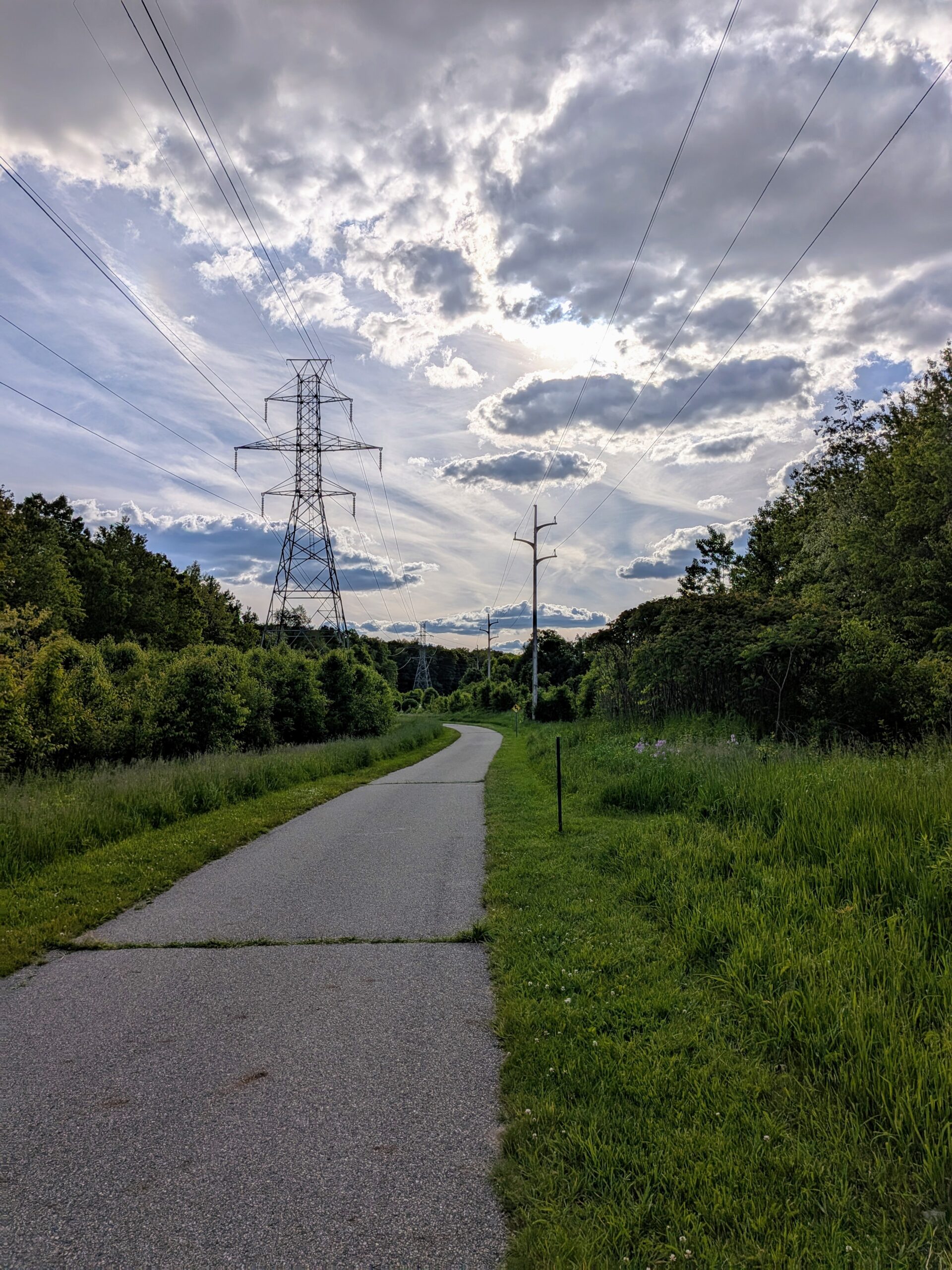 Photo of a nature trail, taken with the Google Pixel 9a.