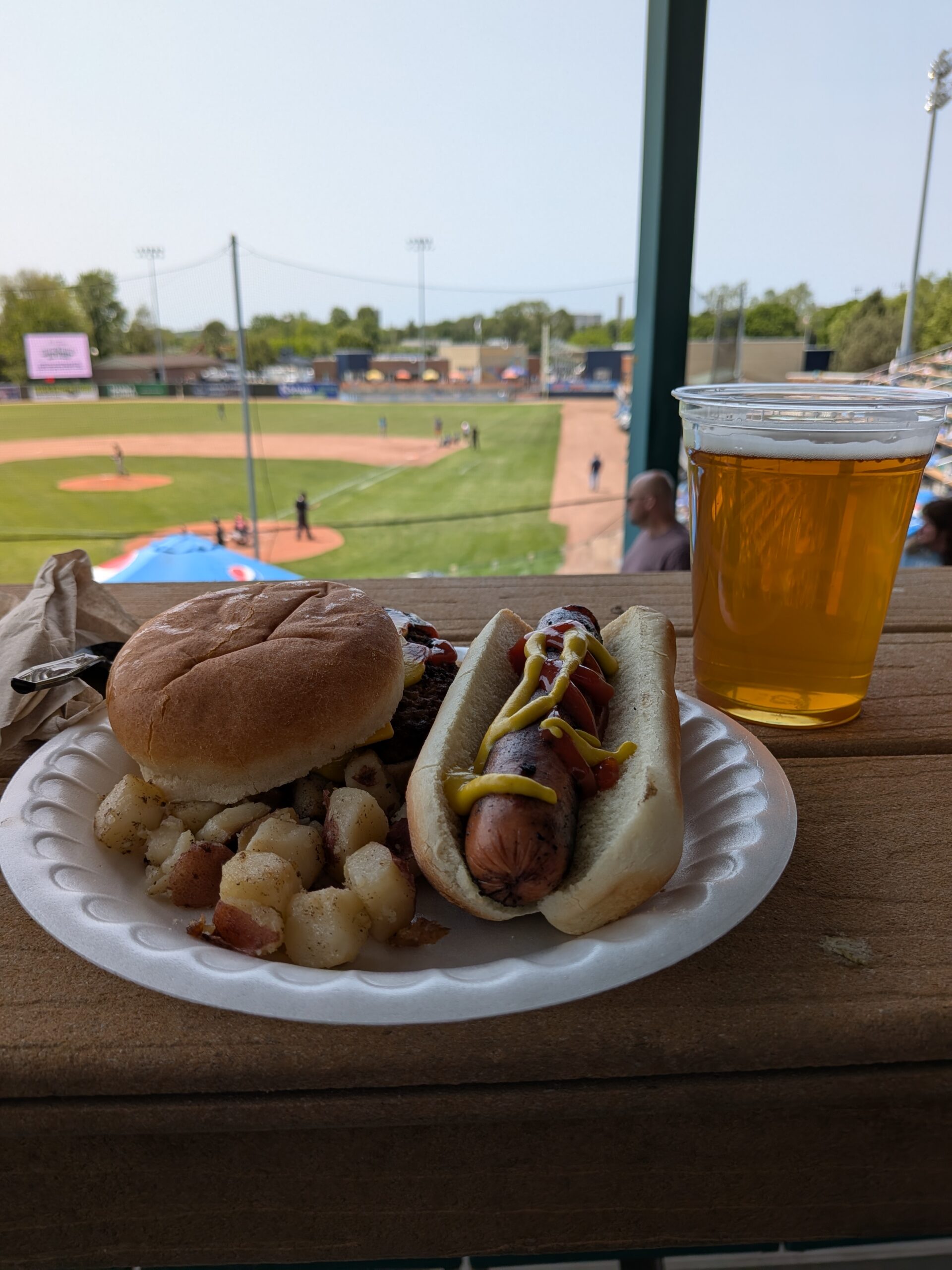 Photo of a burger and hot dog on a paper plate at a baseball game, taken with the Google Pixel 9a.