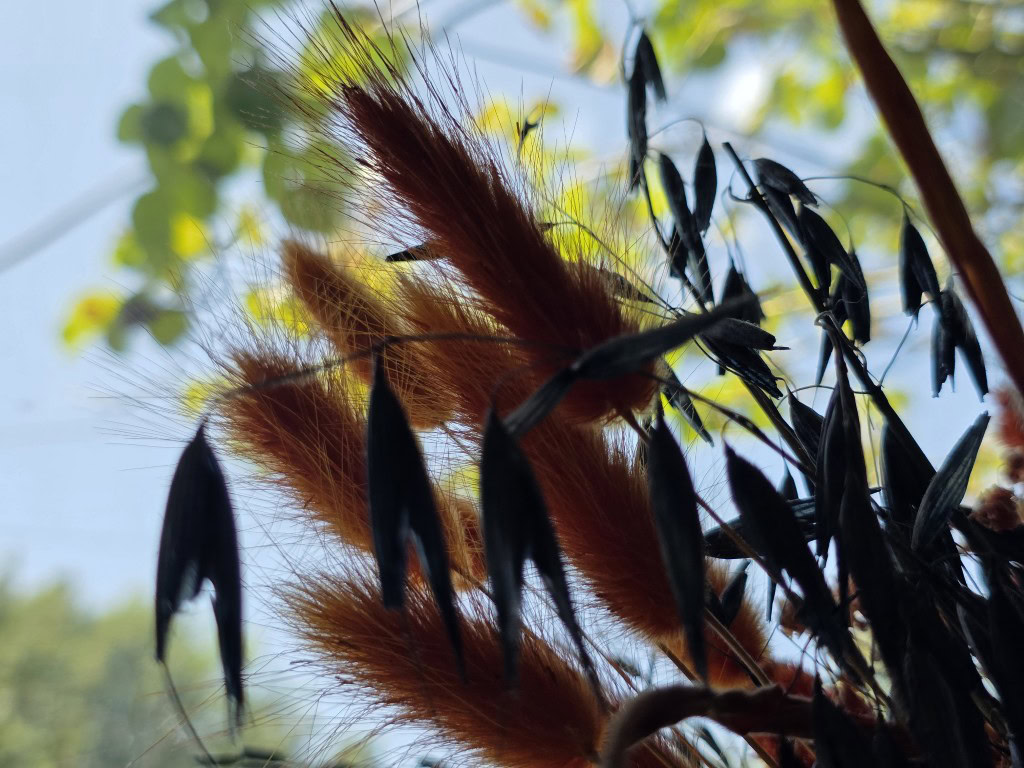 Galaxy S25 Ultra camera sample HDR indoors