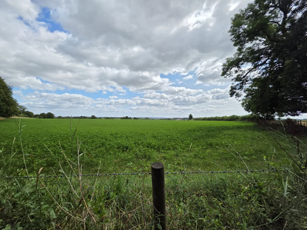 Galaxy S25 Ultra camera sample ultrawide field